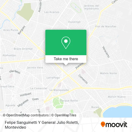 Felipe Sanguinetti Y General Julio Roletti map