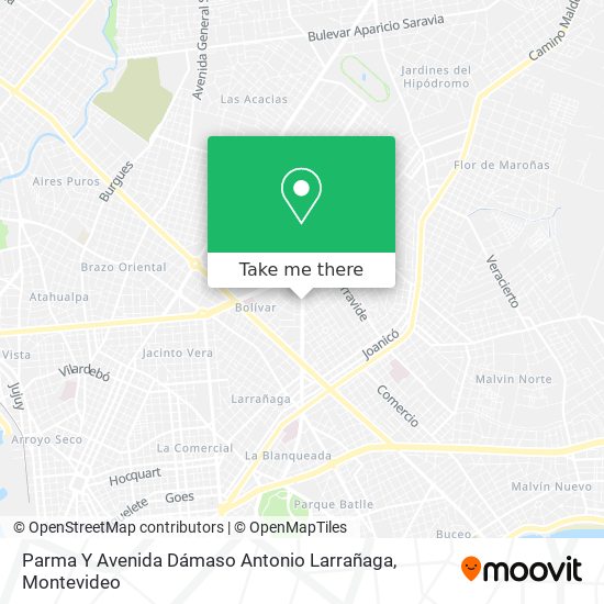 Parma Y Avenida Dámaso Antonio Larrañaga map