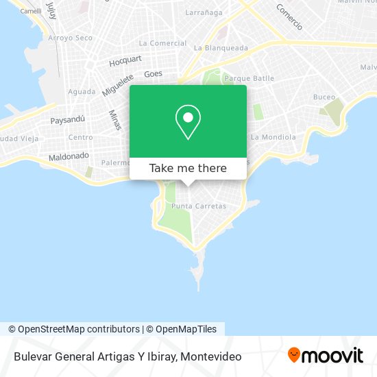 Bulevar General Artigas Y Ibiray map
