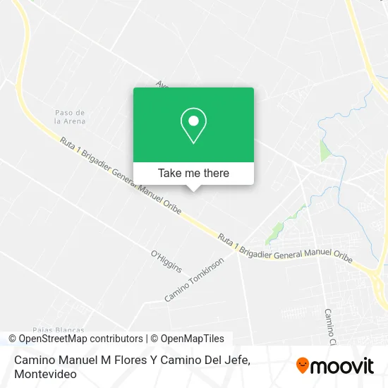Camino Manuel M Flores Y Camino Del Jefe map