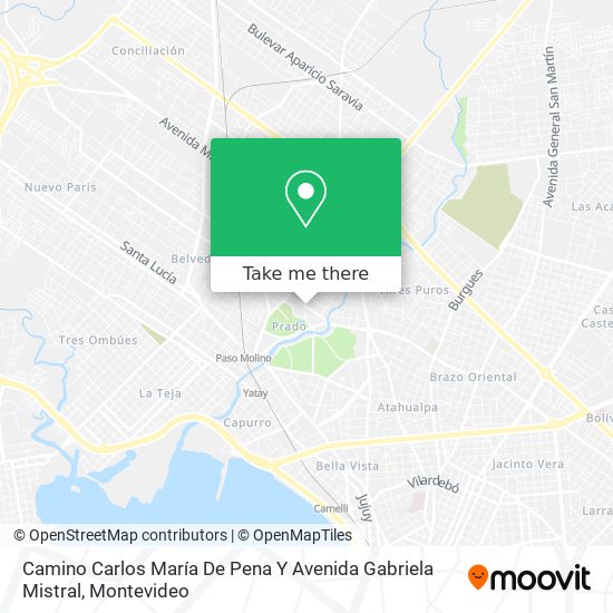 Camino Carlos María De Pena Y Avenida Gabriela Mistral map