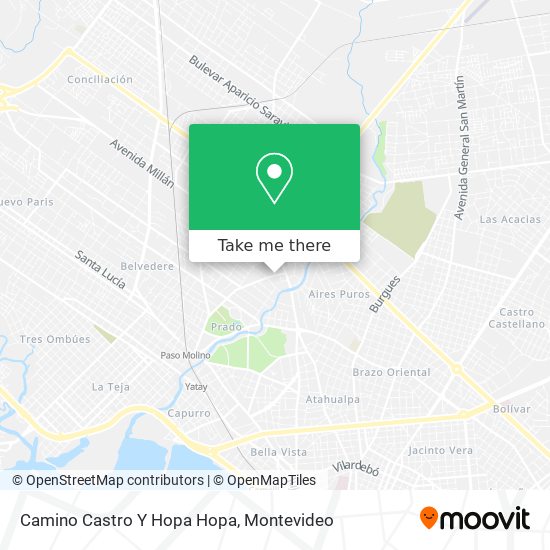 Camino Castro Y Hopa Hopa map