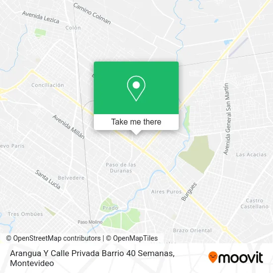 Mapa de Arangua Y Calle Privada Barrio 40 Semanas