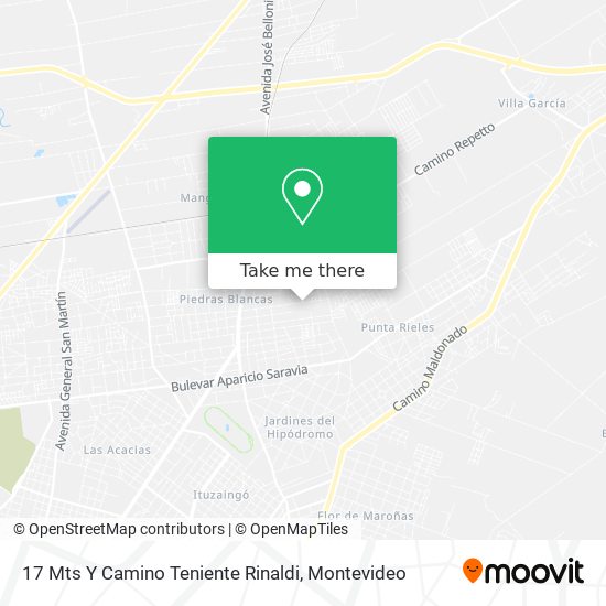 17 Mts Y Camino Teniente Rinaldi map