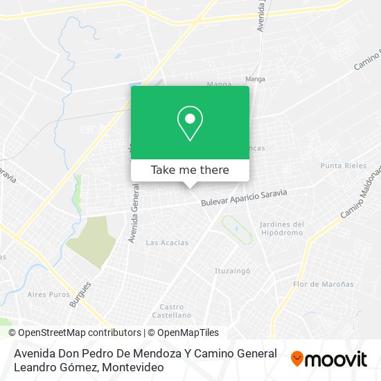 Avenida Don Pedro De Mendoza Y Camino General Leandro Gómez map