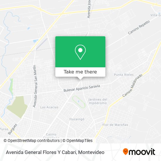 Mapa de Avenida General Flores Y Cabari