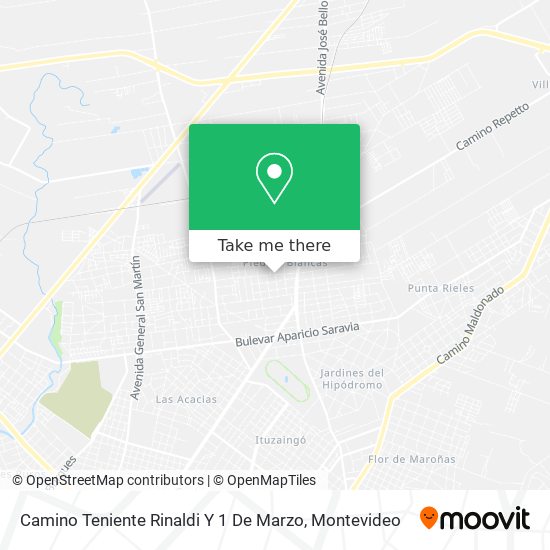 Camino Teniente Rinaldi Y 1 De Marzo map