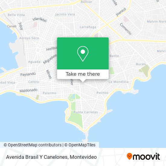 Avenida Brasil Y Canelones map