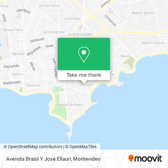 Avenida Brasil Y José Ellauri map