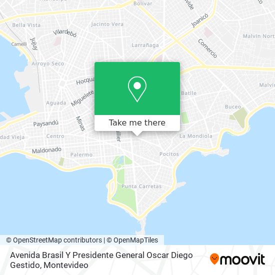Avenida Brasil Y Presidente General Oscar Diego Gestido map