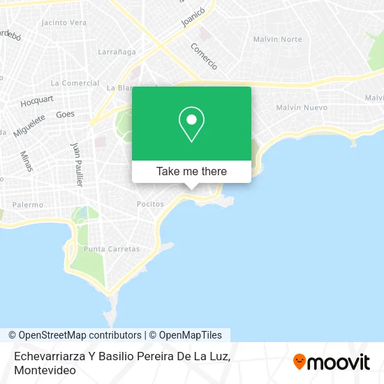 Mapa de Echevarriarza Y Basilio Pereira De La Luz