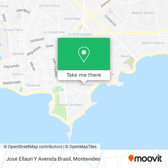 José Ellauri Y Avenida Brasil map