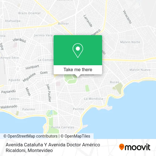 Avenida Cataluña Y Avenida Doctor Américo Ricaldoni map