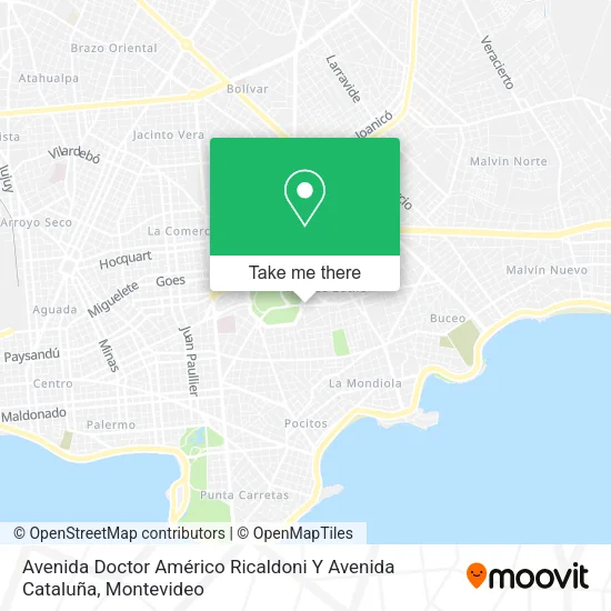 Mapa de Avenida Doctor Américo Ricaldoni Y Avenida Cataluña