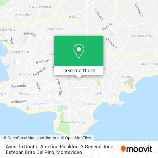 Avenida Doctor Américo Ricaldoni Y General José Esteban Brito Del Pino map