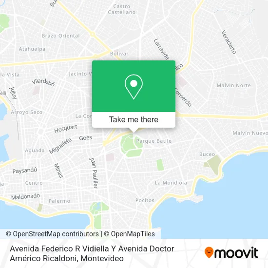 Avenida Federico R Vidiella Y Avenida Doctor Américo Ricaldoni map