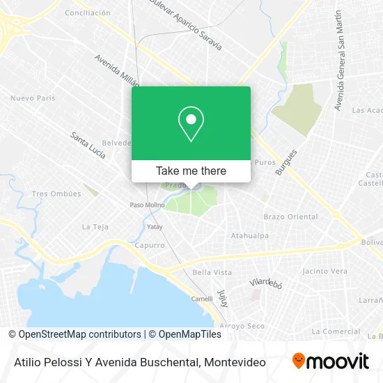 Atilio Pelossi Y Avenida Buschental map