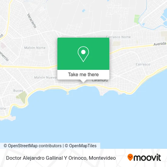Doctor Alejandro Gallinal Y Orinoco map