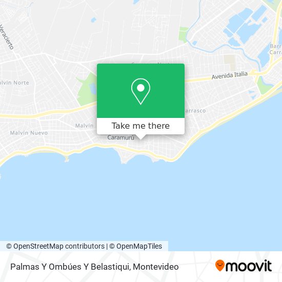 Palmas Y Ombúes Y Belastiqui map