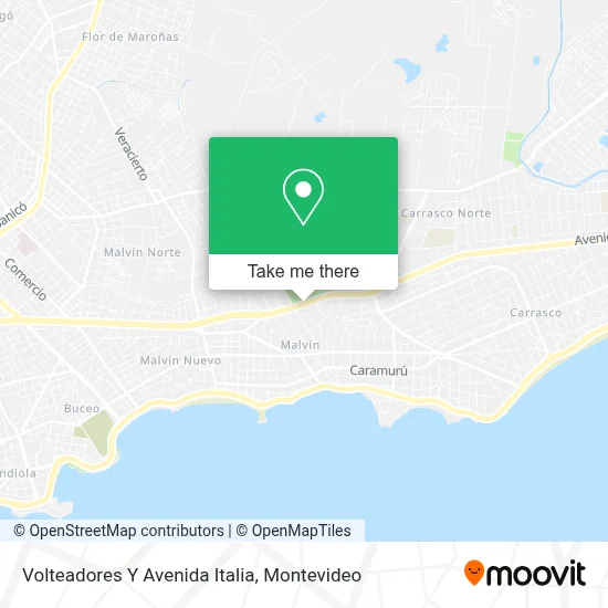 Volteadores Y Avenida Italia map