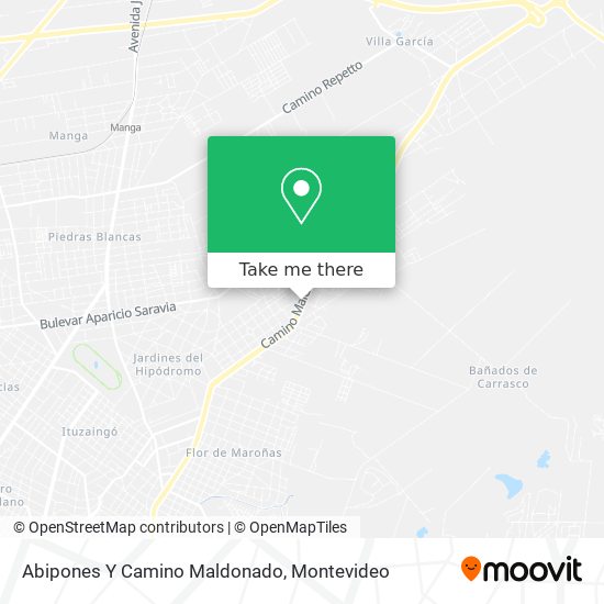 Abipones Y Camino Maldonado map