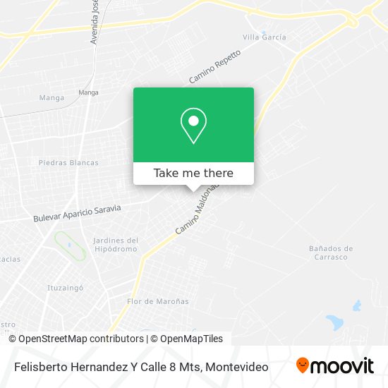 Felisberto Hernandez Y Calle 8 Mts map