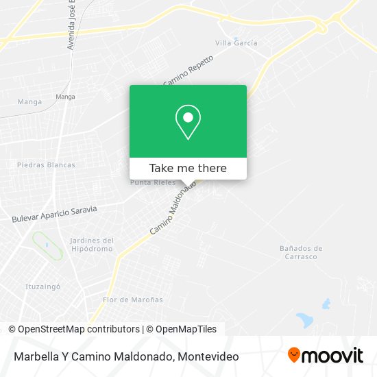 Marbella Y Camino Maldonado map
