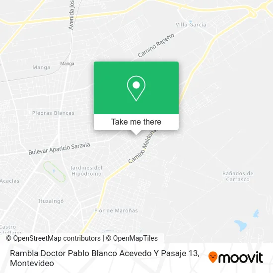 Mapa de Rambla Doctor Pablo Blanco Acevedo Y Pasaje 13