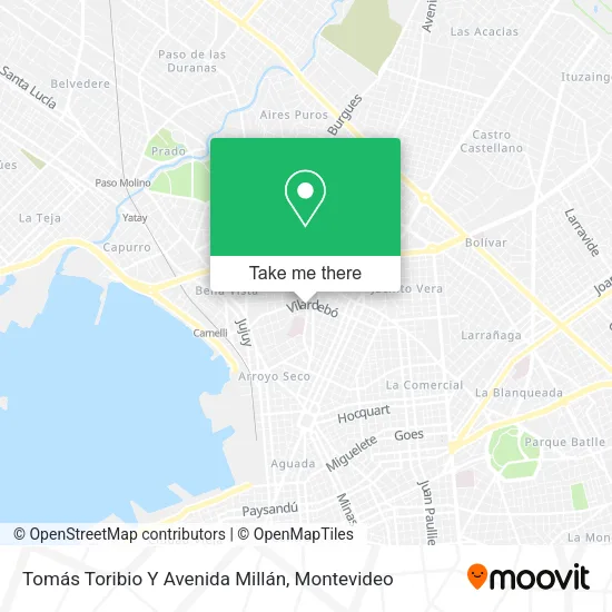 Mapa de Tomás Toribio Y Avenida Millán