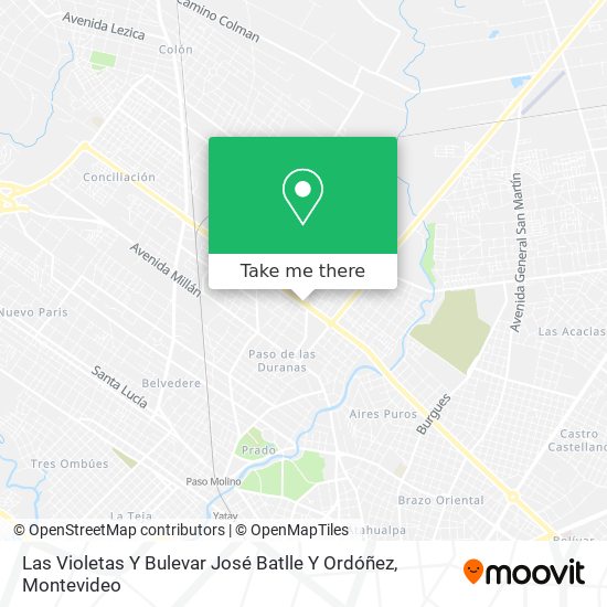 Las Violetas Y Bulevar José Batlle Y Ordóñez map