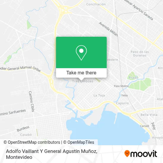 Adolfo Vaillant Y General Agustín Muñoz map