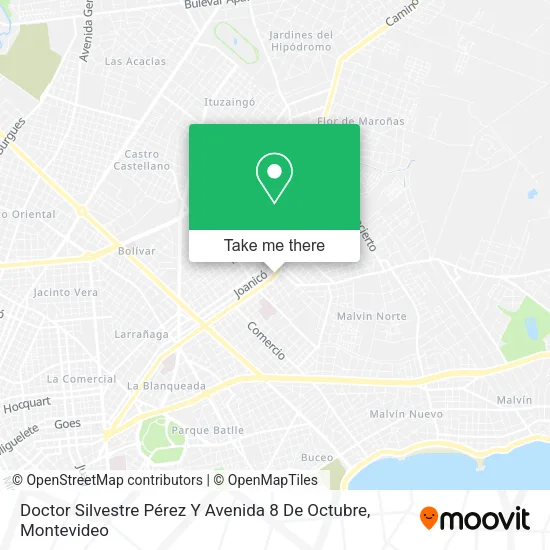 Mapa de Doctor Silvestre Pérez Y Avenida 8 De Octubre
