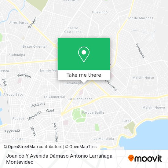 Joanico Y Avenida Dámaso Antonio Larrañaga map