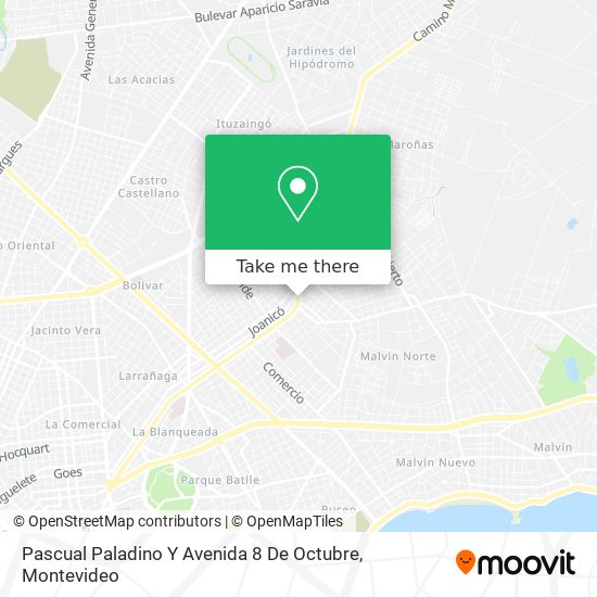 Pascual Paladino Y Avenida 8 De Octubre map