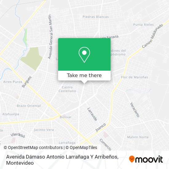 Mapa de Avenida Dámaso Antonio Larrañaga Y Arribeños