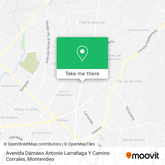 Avenida Dámaso Antonio Larrañaga Y Camino Corrales map