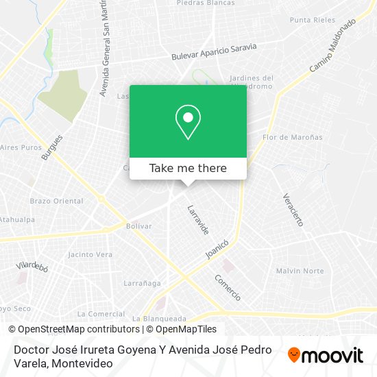 Mapa de Doctor José Irureta Goyena Y Avenida José Pedro Varela