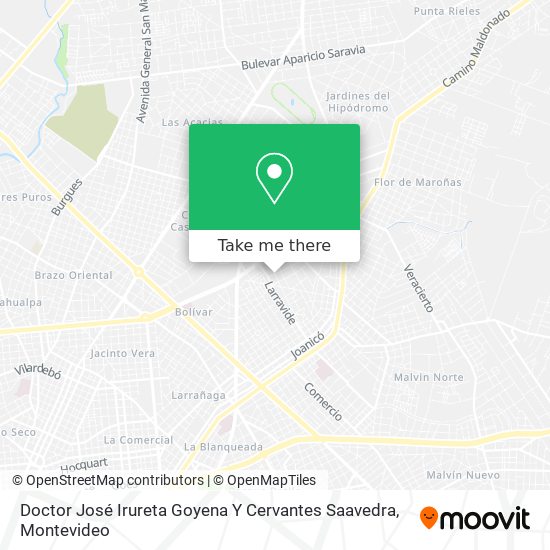 Doctor José Irureta Goyena Y Cervantes Saavedra map