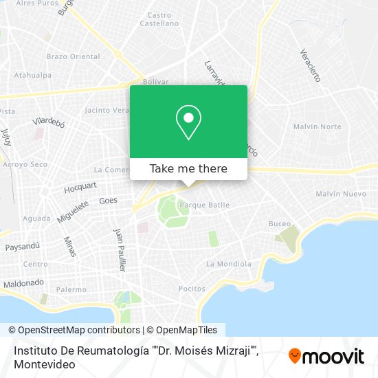Instituto De Reumatología ""Dr. Moisés Mizraji"" map
