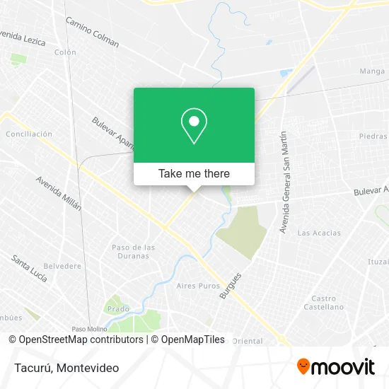 Tacurú map