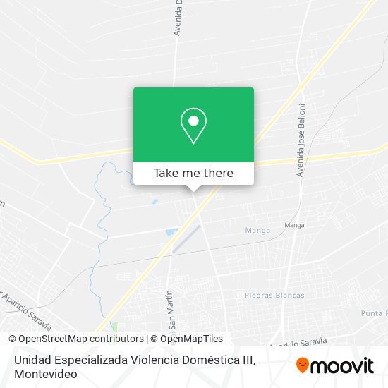 Mapa de Unidad Especializada Violencia Doméstica III