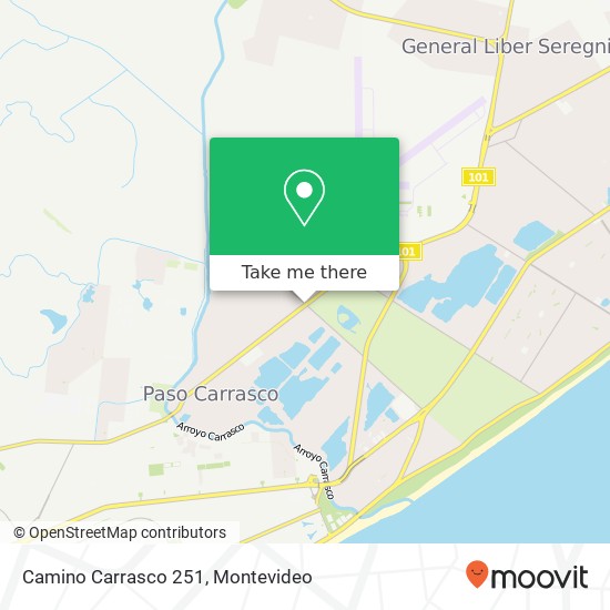 Camino Carrasco 251 map