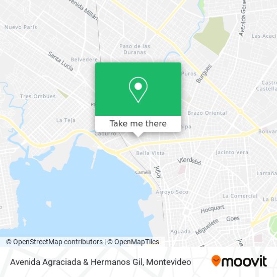 Avenida Agraciada & Hermanos Gil map