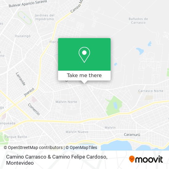 Camino Carrasco & Camino Felipe Cardoso map
