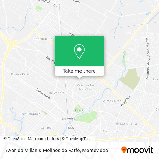 Avenida Millán & Molinos de Raffo map