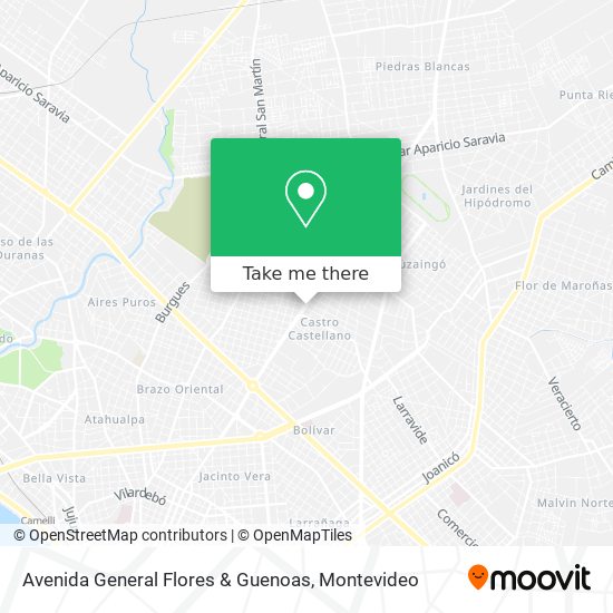 Avenida General Flores & Guenoas map