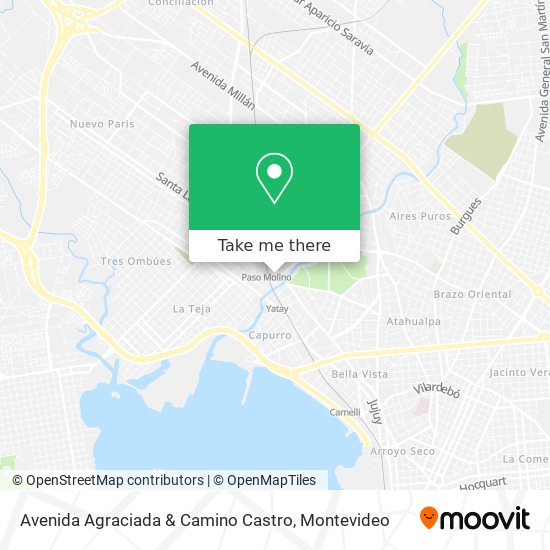 Avenida Agraciada & Camino Castro map