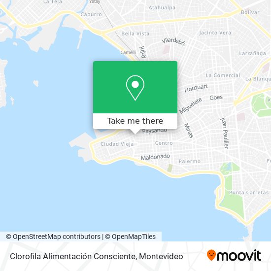 Clorofila Alimentación Consciente map