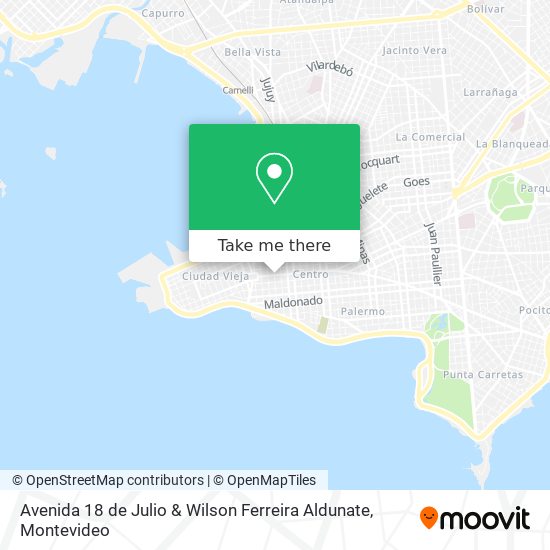 Avenida 18 de Julio & Wilson Ferreira Aldunate map