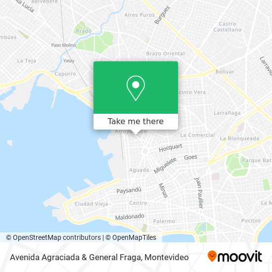 Avenida Agraciada & General Fraga map